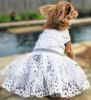 White Lace Dog Wedding Dress with Matching Leash