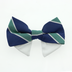 Universal Dog Bow Tie (Color: Navy Blue and Green Stripe, size: Type 1)